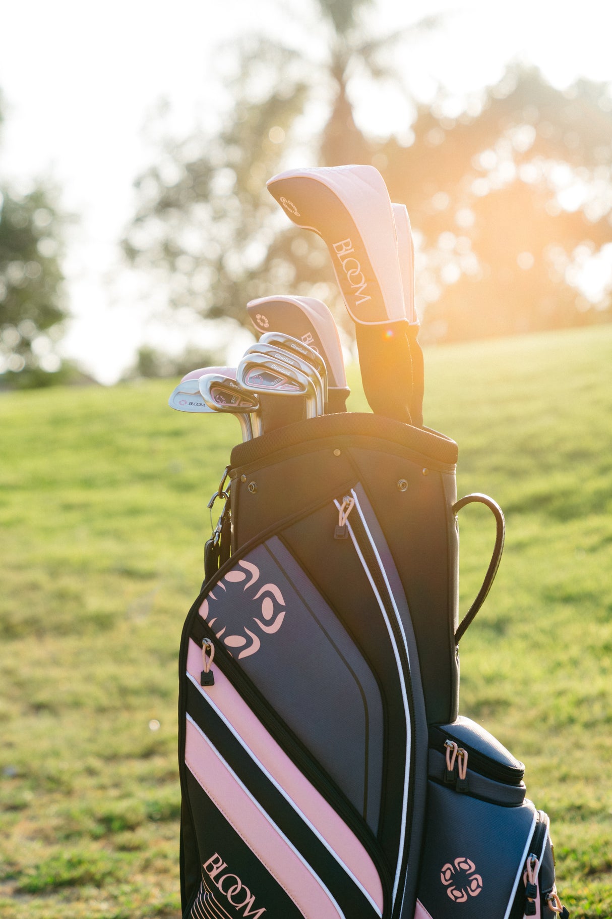 Cleveland Bloom Damen Komplettset / Golfset, Rechtshand - Golflaedchen.de