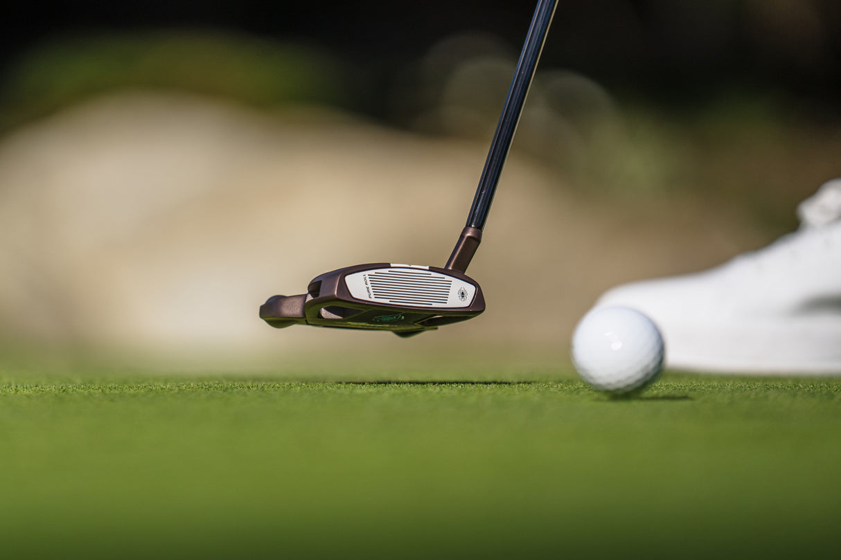 TaylorMade Spider Tour Torched Putter, 3 (Small Slant), True Path, Rechtshand - Golflaedchen.de
