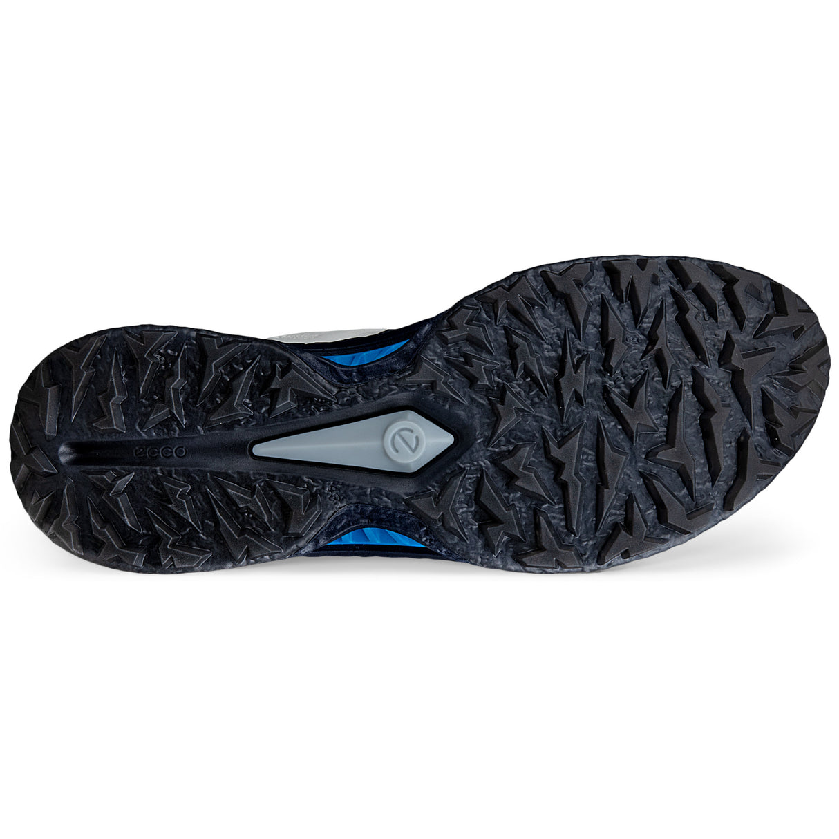 Ecco Biom C5 GTX Herren Golfschuhe, Weiß / Blau / Schwarz - Golflaedchen.de