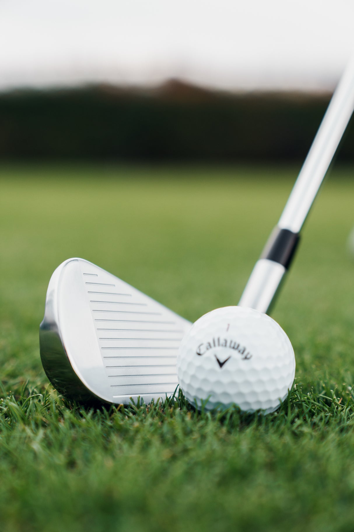 Callaway Quantum MAX Wedge / Einzel - Eisen, Stahlschaft, Herren Rechtshand - Golflaedchen.de