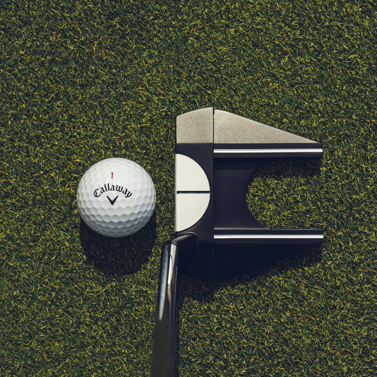 Odyssey Ai - DUAL 7 S 1/2 Ball Putter, Rechtshand - Golflaedchen.de