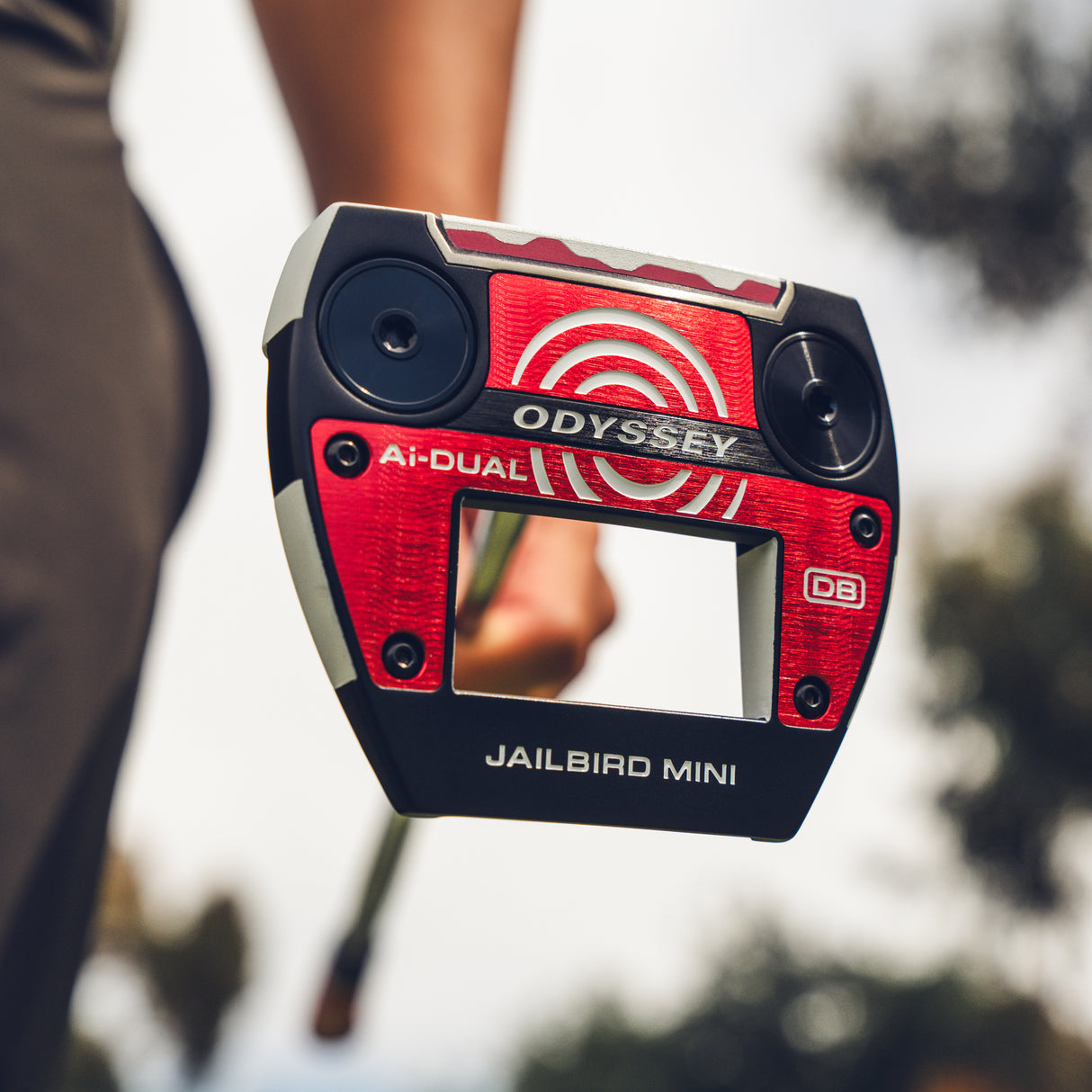 Odyssey Ai - DUAL Jailbird Mini Putter, DB, Rechtshand - Golflaedchen.de