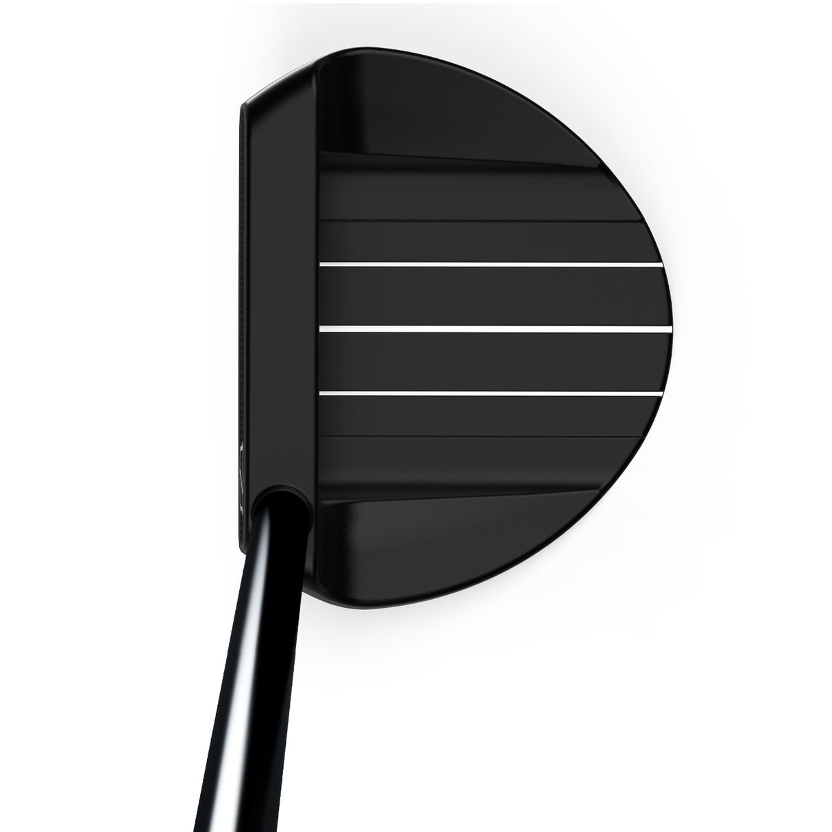 Wilson 2026 Infinite Putter, Bean, Rechtshand - Golflaedchen.de