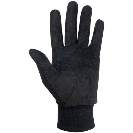 FootJoy 2026 WinterSof Winter Handschuhe, Herren, 1 Paar - Golflaedchen.de