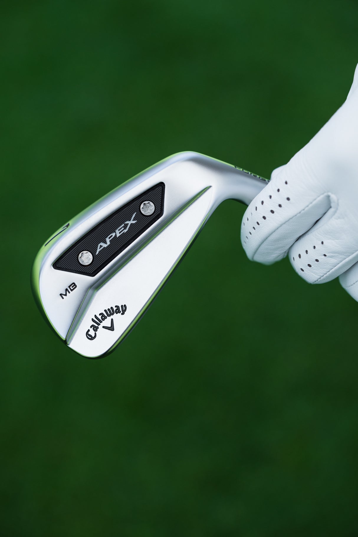 Callaway Apex MB 24 Eisen, Stahlschaft, Herren Rechtshand - Golflaedchen.de