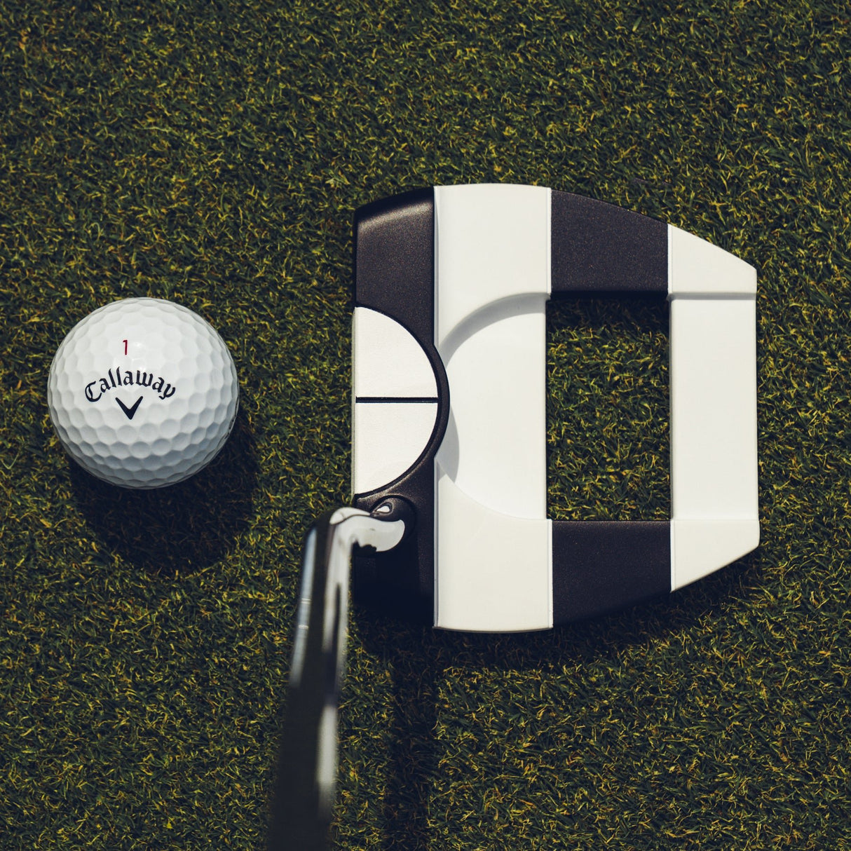 Odyssey Ai - DUAL Jailbird Cruiser 1/2 Ball Putter, DB, Rechtshand - Golflaedchen.de