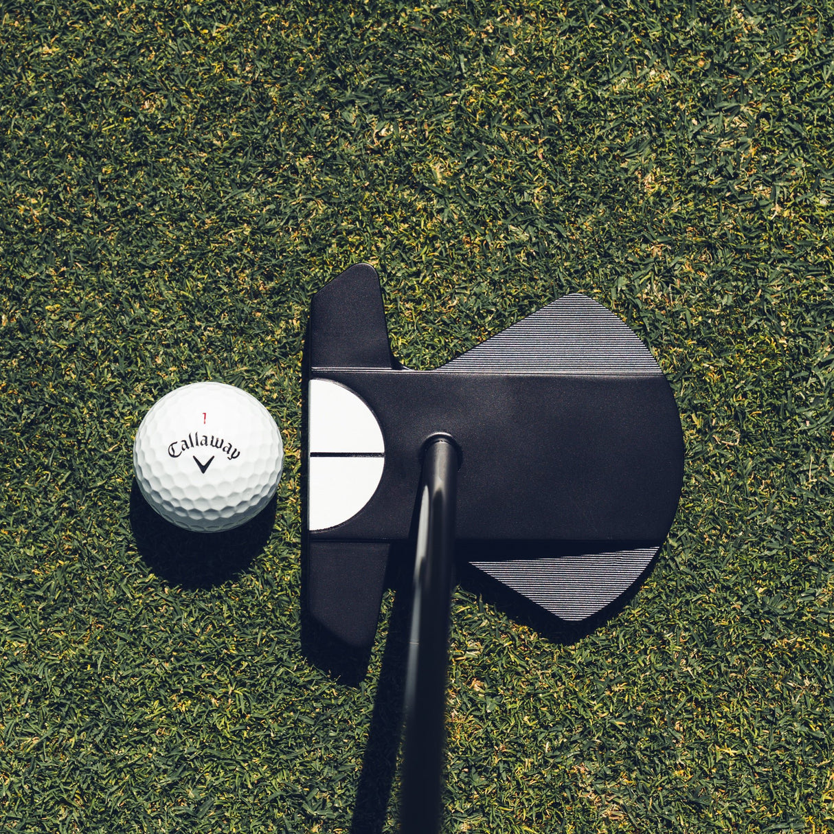 Odyssey S2S Ai - DUAL MAX 1/2 Ball Putter, Rechtshand - Golflaedchen.de