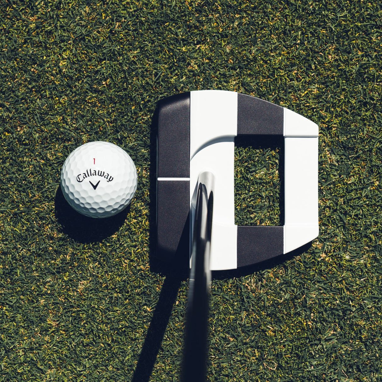 Odyssey S2S Ai - DUAL Jailbird Putter, Rechtshand - Golflaedchen.de