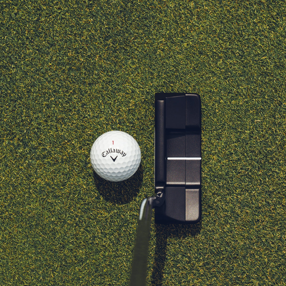 Odyssey Ai - DUAL Double Wide Putter, DB, Rechtshand - Golflaedchen.de