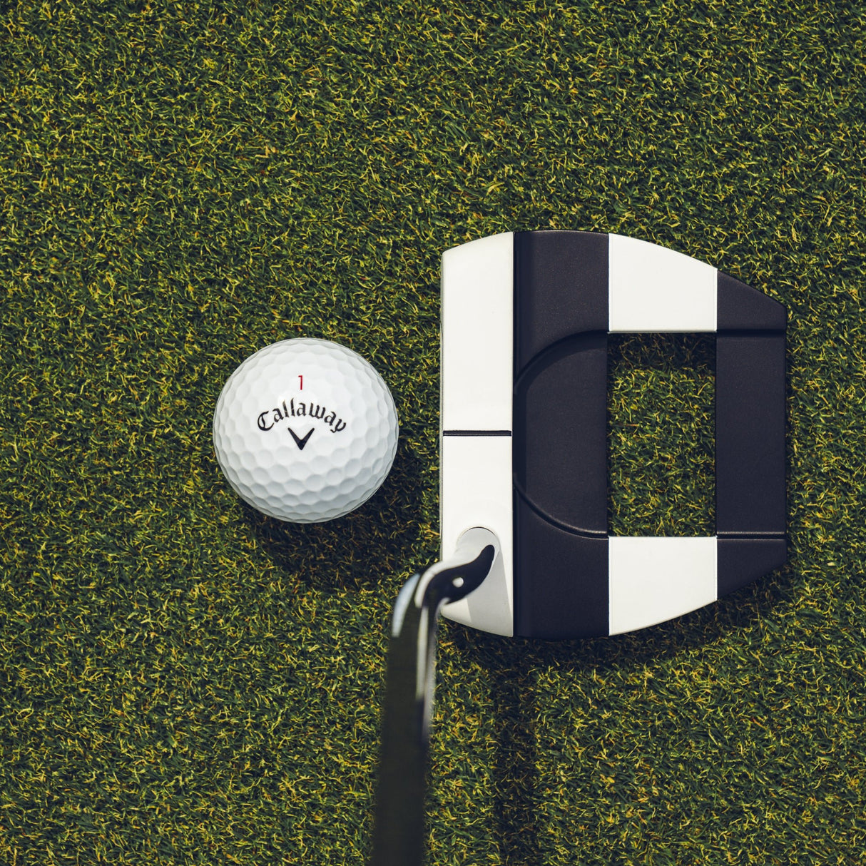 Odyssey Ai - DUAL Jailbird Mini Putter, DB, Rechtshand - Golflaedchen.de