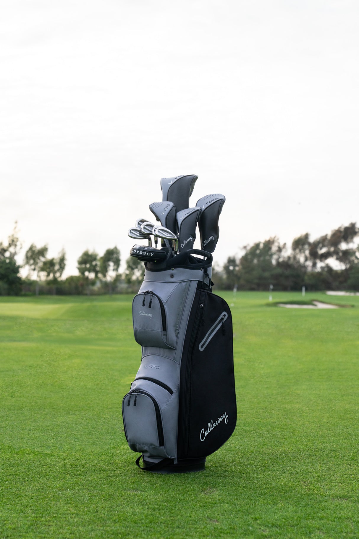 Callaway REVA 2026 Damen Komplettset / Golfset, Schwarz, Rechtshand, +0,5 inch länger - Golflaedchen.de