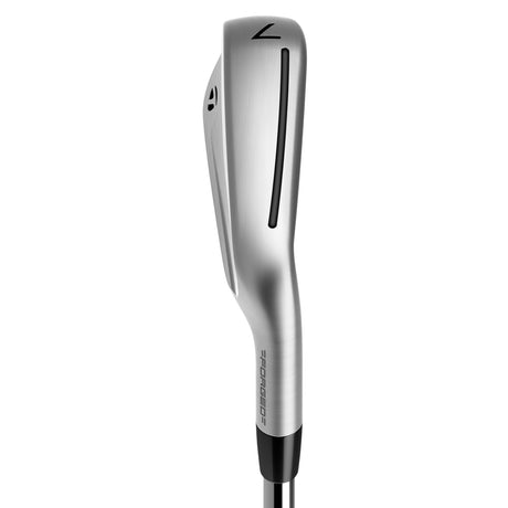TaylorMade P790 DEMO EInzel-Eisen, Stahlschaft, Herren Rechtshand - Golflaedchen.de